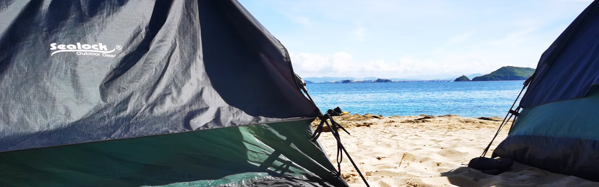 जांच भेजें