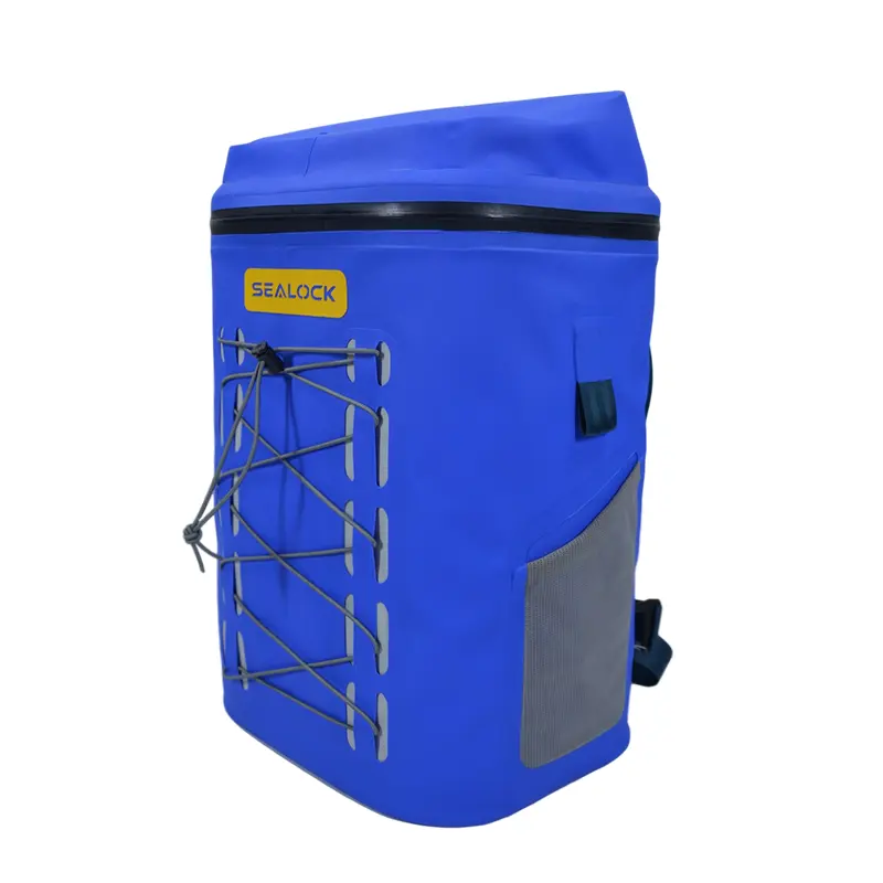 पिकनिक फूड कूलर बैग